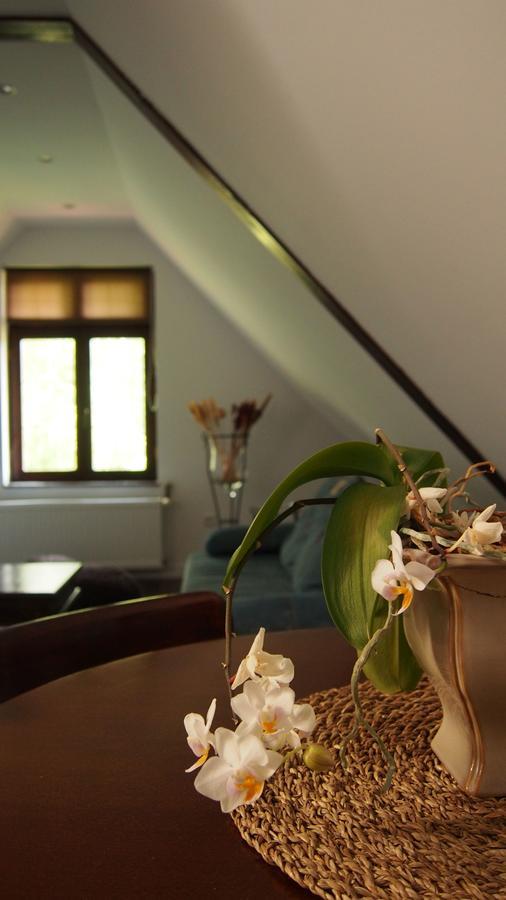 Apartamenty Villa Akant Piechowice  Buitenkant foto
