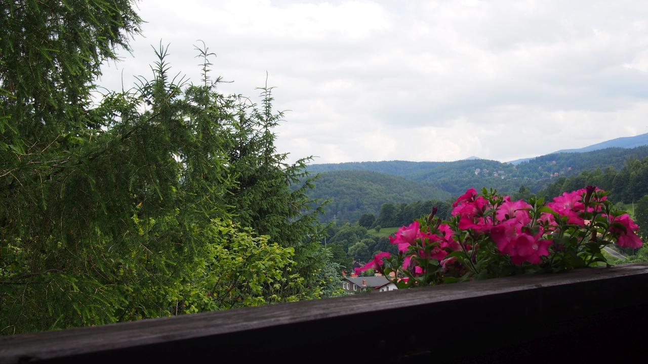 Apartamenty Villa Akant Piechowice  Buitenkant foto